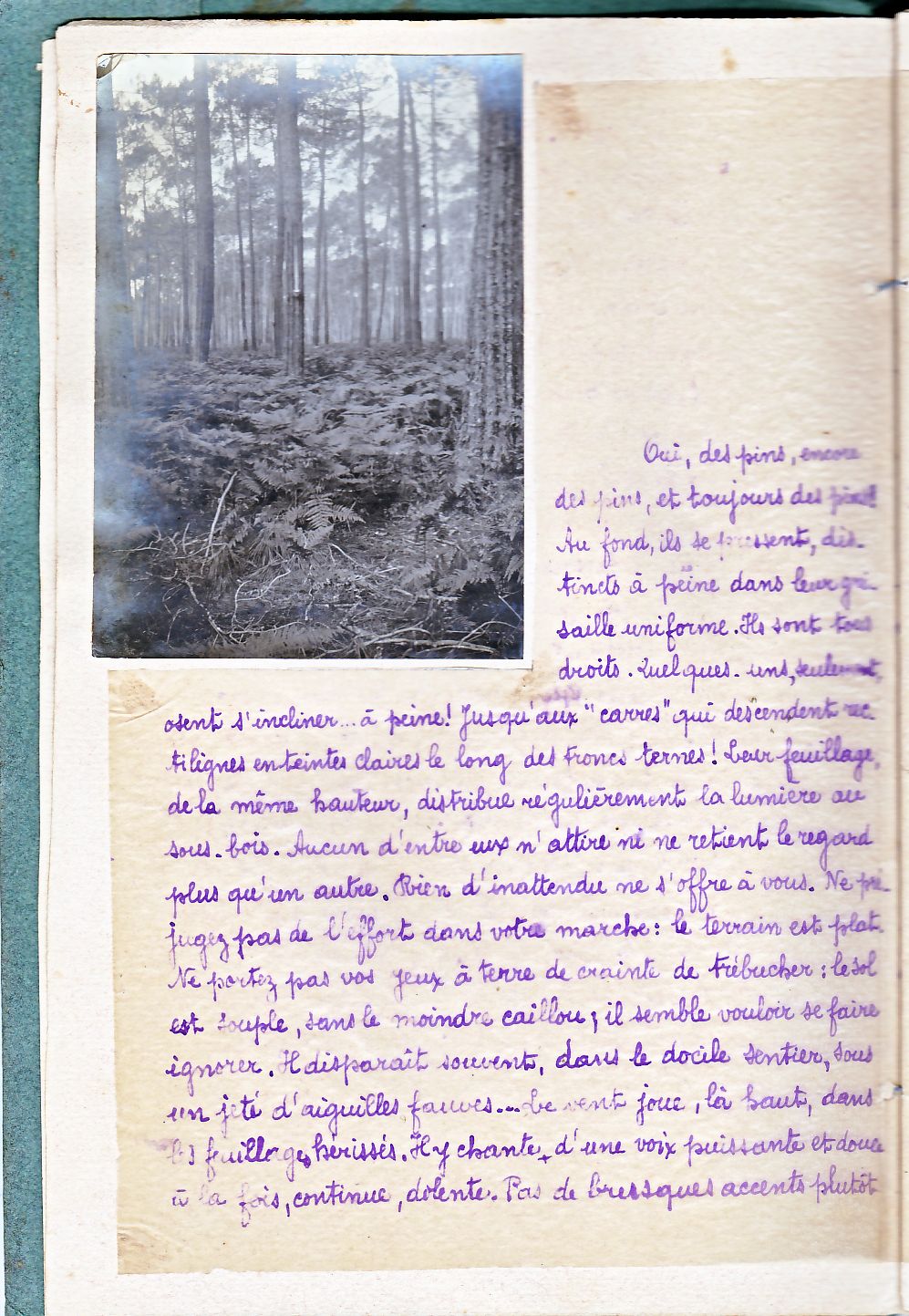 Document pins Landais
