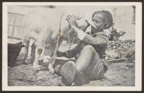  10 cartes postales Ecole Freinet Vence