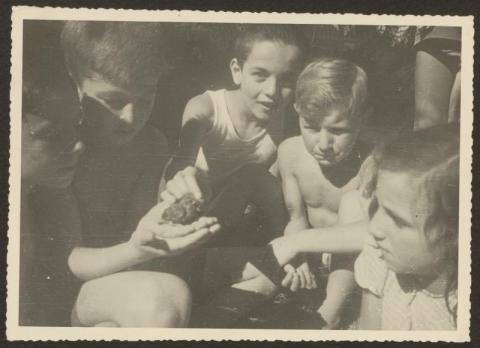 des photos école Freinet de Vence ( 14 photos)