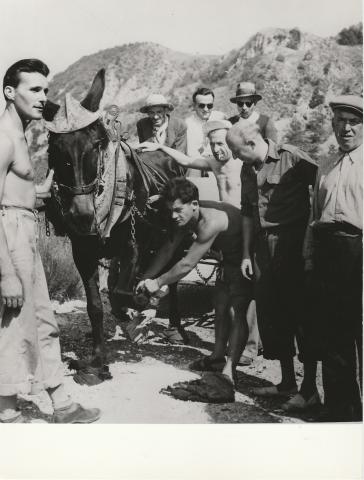  Photo du tournage : on met aux fers du cheval des chiffons pour étouffer le bruit